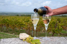 Cavatast 2025 à Sant Sadurní d'Anoia: Cava, musique et tradition