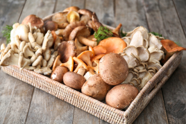 The best restaurants in Berguedà for eating mushrooms