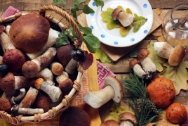 The best restaurants in Ripollès for eating mushrooms