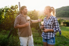 Disfruta de la vendimia en las mejores bodegas de Cataluña