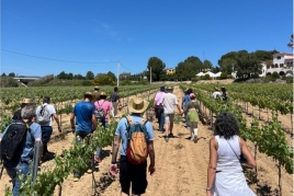 Cava Spring returns in May with 16 activities among vineyards!