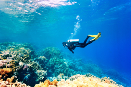 What are the best places to go scuba diving in Catalonia?