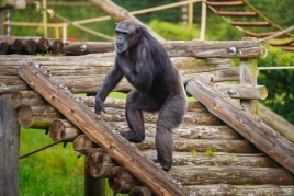 Concours: 4 billets famille pour visiter la Fondation Mona