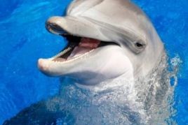 Giveaway: win tickets and cool off at Marineland