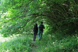 Concours : Expérience de baignade en forêt en famille avec…