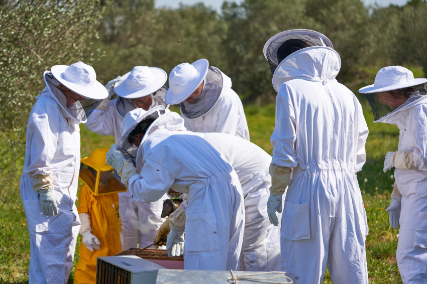 Beekeepers for a day, Abellaires Empordà (_ism1427)