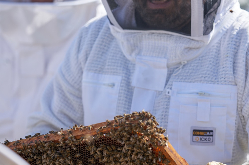 Beekeepers for a day, Abellaires Empordà (_ism1379)