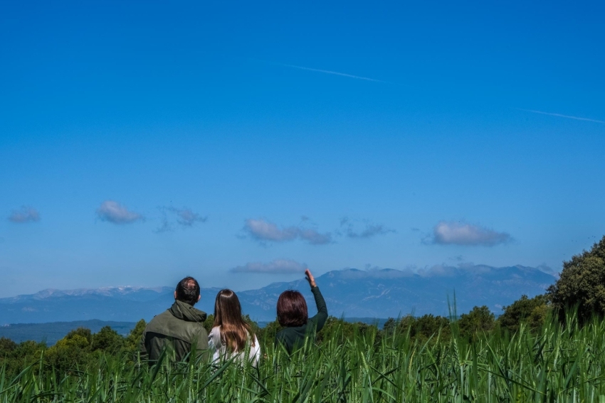 Route du pain et du blé dur (Mas Terricabras)