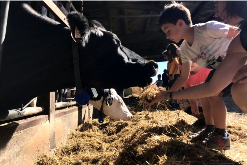 Ruta de la Leche en el Lluçanès (SolerdeNhug)