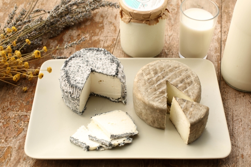 Ruta de la Leche en el Lluçanès (Produceslactis)