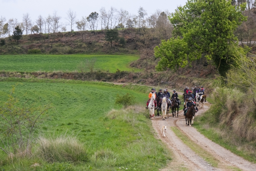 Lluçanès a cavall (Ruta_cavalls 41)
