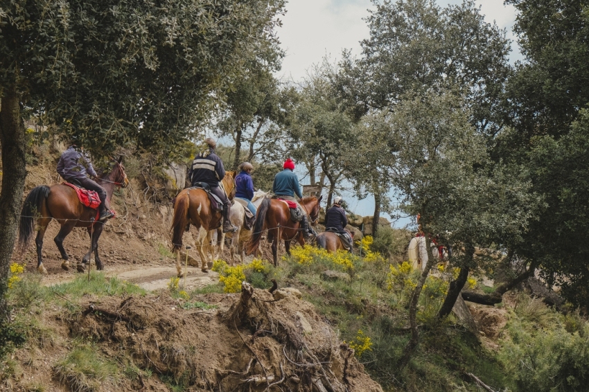 Lluçanès a cavall (Ruta_cavalls 65)