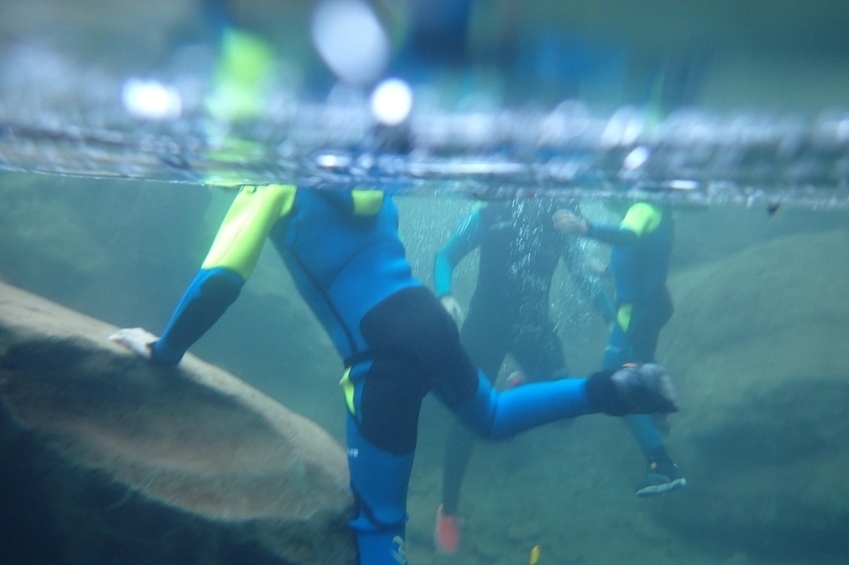Water Trekking with Pyrenees Extrem! (10 Trekking Aquatic)
