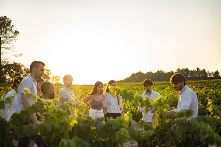 El Penedès en tres tiempos en Vins el Cep (01 1. Grup A Les Vinyes__)
