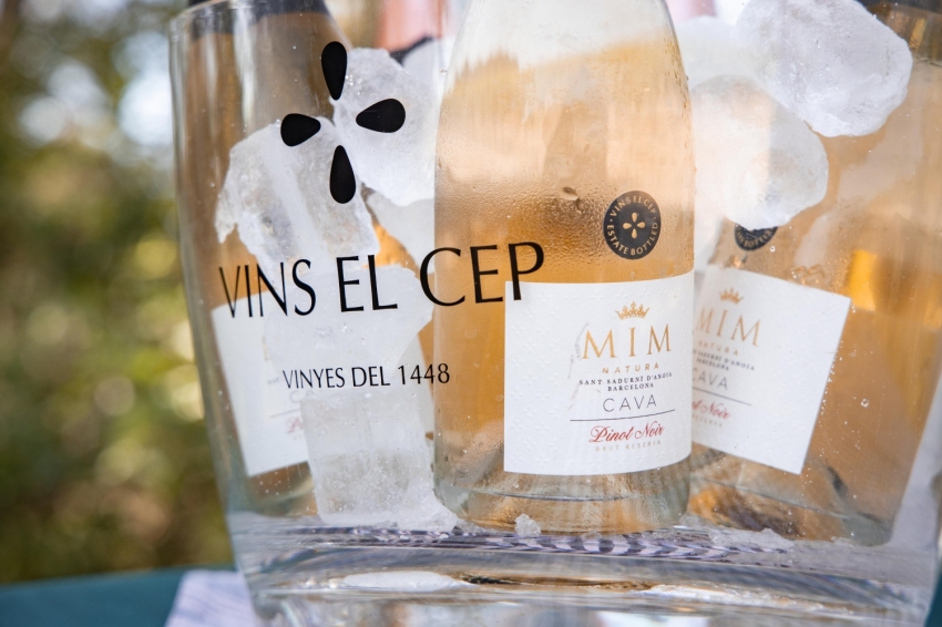 Cep Passes Solidàries, Vins el Cep (2022_05cep_passes_w 10 Ok)