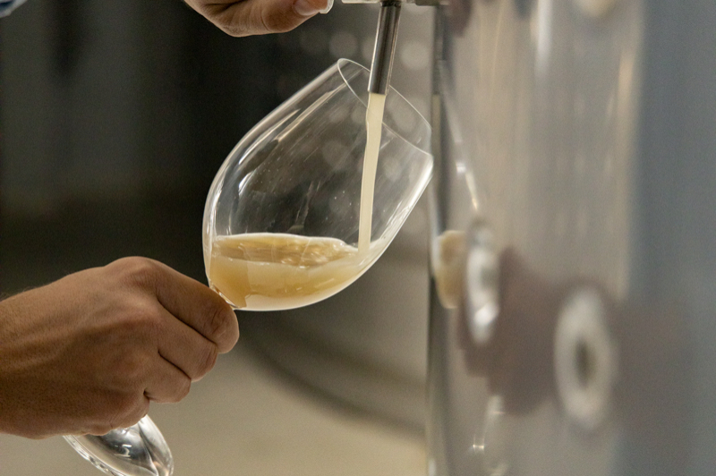 Après-midi Vendanges: Dégustation à aveugle, musique live et gastronomie (8. Tast Diposit_)