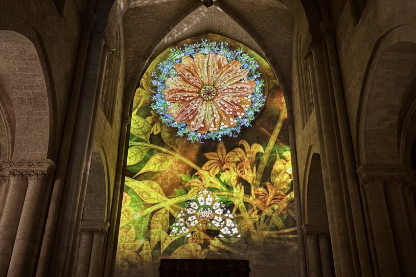 Cartographie El camí de la llum, Cathédrale de Tarragone, TGNA Cervantes 8 (Catedral De Tarragona El Cami De La Llum Tgna Apartaments Rosassa Mapping)