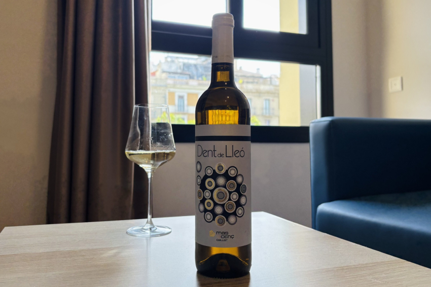 Wine tourism in Tarragona: Mas Vicenç Winery, TGNA Rambla 68 Apartments (Celler Mas Vicenc Dent De Lleo Tast Vins Experiencia Enoturisme Tarragona Apartaments Tgna Rambla 68)