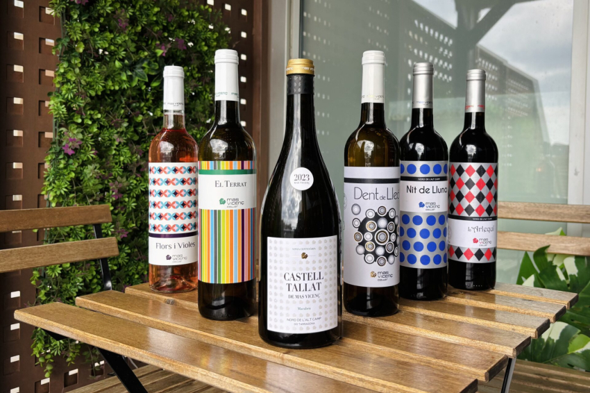 Wine tourism in Tarragona: Mas Vicenç Winery, TGNA Llúria 11 Apartments (Celler Mas Vicenc Tast Vins Experiencia Enoturisme Tarragona Apartaments Tgna Lluria 11)