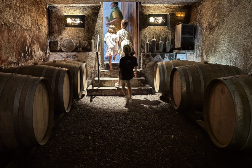 Oenotourisme à Tarragone: Cave Mas Vicenç, TGNA Cervantes 8 Appartements (Celler Mas Vicenc Tast Vins Experiencia Enoturisme Tarragona Apartaments Tgna)