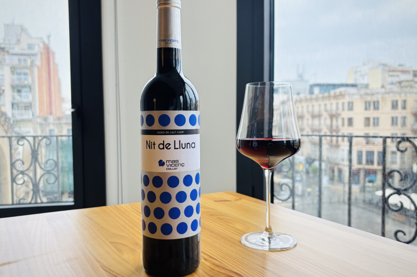 Oenotourisme à Tarragone: Cave Mas Vicenç, TGNA Reding 22 Appartements (Celler Mas Vicenc Tast Vins Experiencia Enoturisme Tarragona Apartaments Tgna Reding 22)