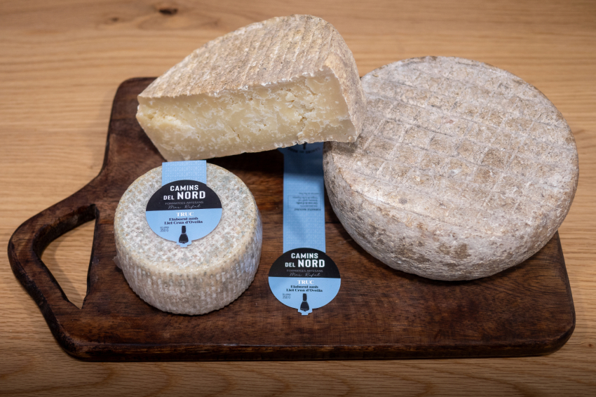 Visit ECO Vins el Cep x Camins del Nord (Foto Truc 1)
