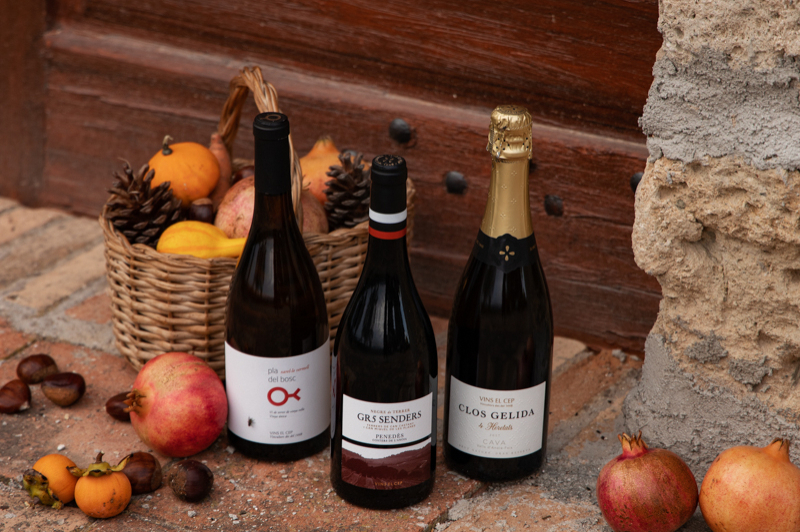 Visit ECO Vins el Cep x Camins del Nord (2022_10vec_brunch_w 4)