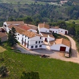 Pay us a visit to the Miquel Jané Winery: Calçotada menu!