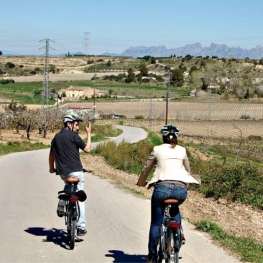 Come and do adventure wine tourism at the Miquel Jané Winery!