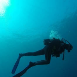 Costa Brava Sub presenta la ruta d'immersions ecoguiades a la&#8230;