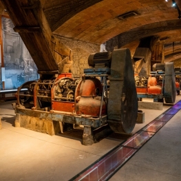 Visitez le Celler de Vila-seca - Musée Expérientiel du Vin!