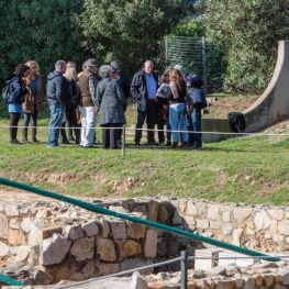 Visita guiada a la Villa romana de Torre Llauder