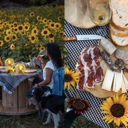 Pique-nique parmi les tournesols à Niudalia