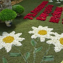 Corpus festival, the flower carpets in Sitges