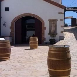 Visit to the winery with wine tasting and lunch at the Miquel&#8230;