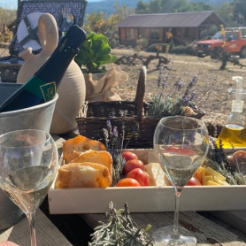 Food Market Penedès - Stress & Adrenalina