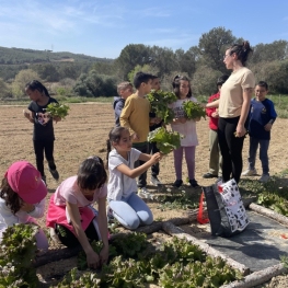 Activitat escolar 'Del camp a la panxa', Cases Blanques Espai&#8230;