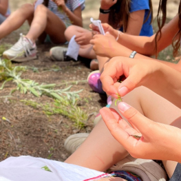 Actividad escolar: 'Las Trementinaires'