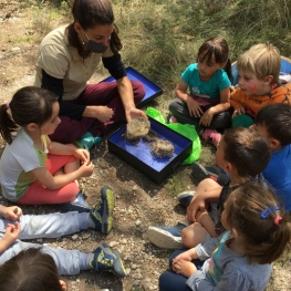 Activité scolaire: "La cachette de l'écureuil"