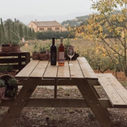 Picnic among vineyards at Celler Can Roda