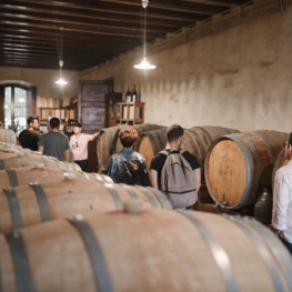 Visite œnologique au Celler Can Roda