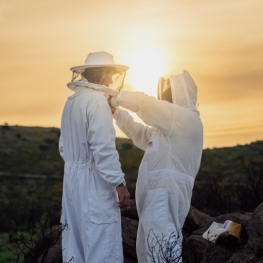 Do you want to be a beekeeper for a day?
