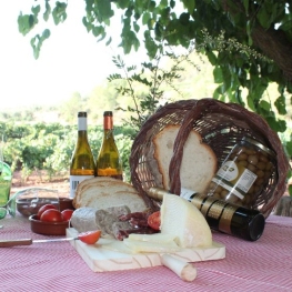 Petit-déjeuner au milieu des vignes à El Celler