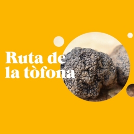 Ruta de la Trufa en el Lluçanès