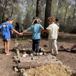 Activité scolaire: Les sensations de la forêt