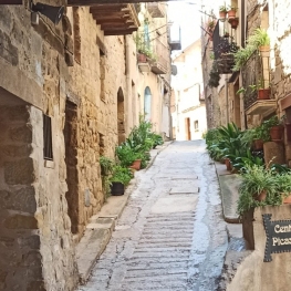 Horta, l'espiritualitat dels Ports i Picasso, amb Tarvitur Visites&#8230;