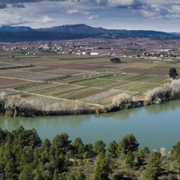 Tivissa - Iber Castellet de Banyoles Village