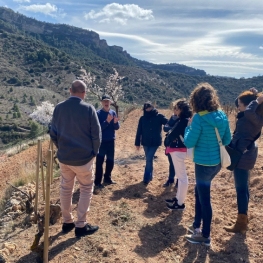 Desayuno o Merienda en las Viñas en el Celler Gritelles