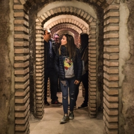 Visita Exprés a la Bodega Masroig