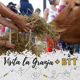 Actividad Escolar: Circuito en BTT, visita a la granja y juegos&#8230;